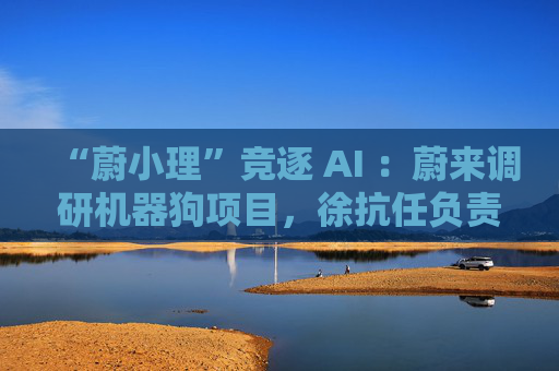 “蔚小理”竞逐 AI ：蔚来调研机器狗项目，徐抗任负责人