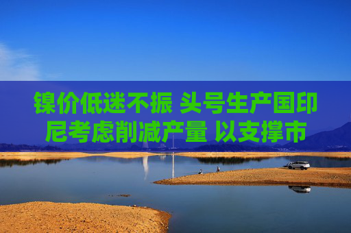镍价低迷不振 头号生产国印尼考虑削减产量 以支撑市场