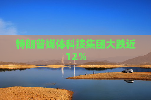 特朗普媒体科技集团大跌近12%