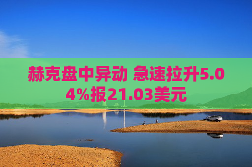 赫克盘中异动 急速拉升5.04%报21.03美元
