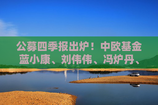 公募四季报出炉！中欧基金蓝小康、刘伟伟、冯炉丹、钱亚婷操作及观点来了