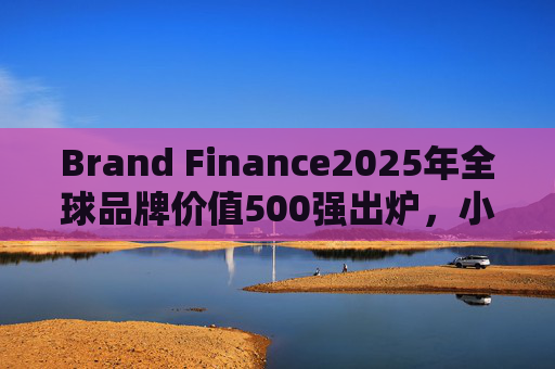 Brand Finance2025年全球品牌价值500强出炉，小米集团排名上升34位
