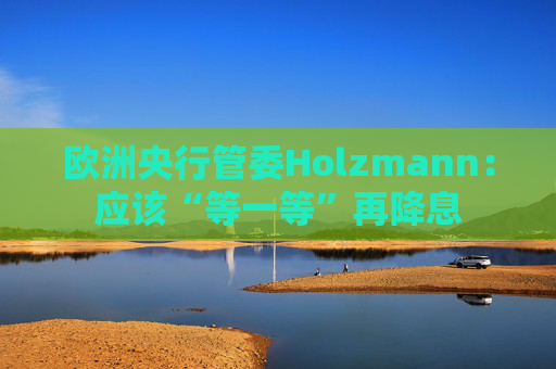欧洲央行管委Holzmann：应该“等一等”再降息