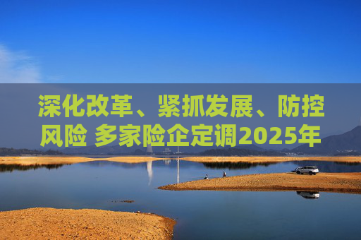 深化改革、紧抓发展、防控风险 多家险企定调2025年经营工作