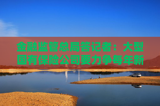 金融监管总局答记者：大型国有保险公司要力争每年新增保费30%用于投资股市