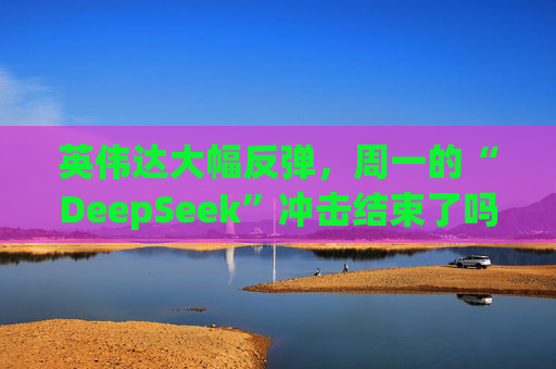 英伟达大幅反弹，周一的“DeepSeek”冲击结束了吗？