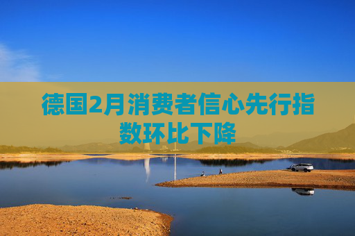 德国2月消费者信心先行指数环比下降