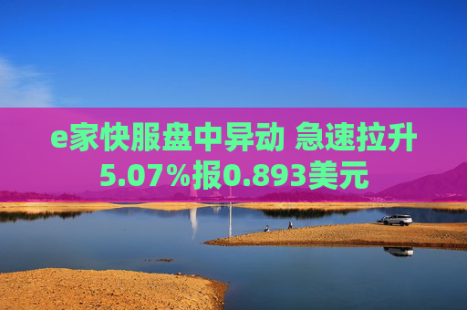 e家快服盘中异动 急速拉升5.07%报0.893美元