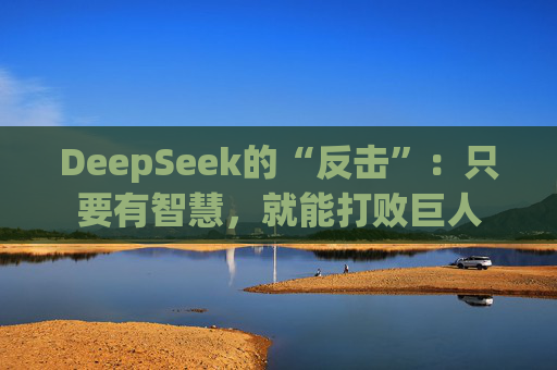 DeepSeek的“反击”：只要有智慧，就能打败巨人