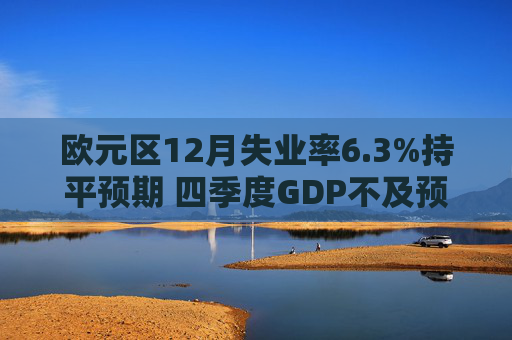 欧元区12月失业率6.3%持平预期 四季度GDP不及预期