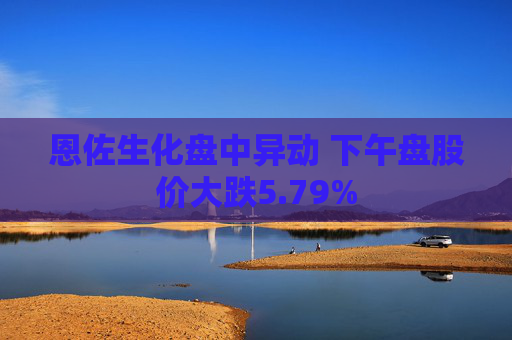 恩佐生化盘中异动 下午盘股价大跌5.79%