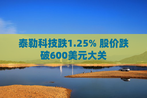 泰勒科技跌1.25% 股价跌破600美元大关