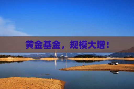 黄金基金，规模大增！