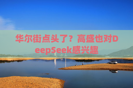 华尔街点头了？高盛也对DeepSeek感兴趣