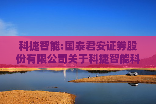 科捷智能:国泰君安证券股份有限公司关于科捷智能科技股份有限公司部分首次公开发行战略配售限售股上市流通的核查意见