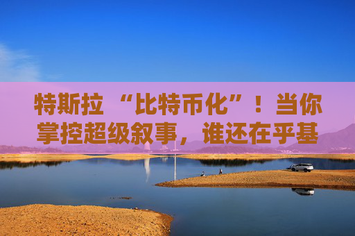 特斯拉 “比特币化”！当你掌控超级叙事，谁还在乎基本面？