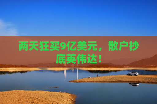 两天狂买9亿美元，散户抄底英伟达！