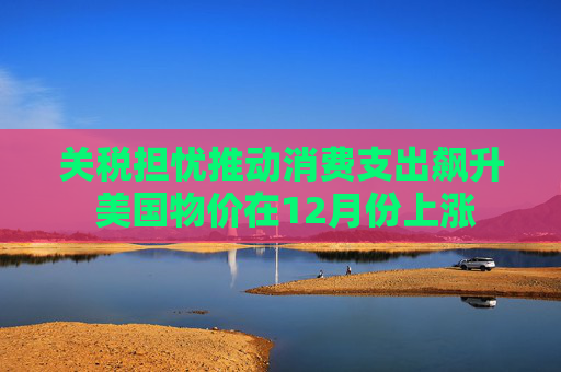 关税担忧推动消费支出飙升 美国物价在12月份上涨