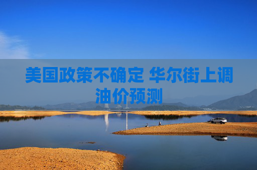 美国政策不确定 华尔街上调油价预测