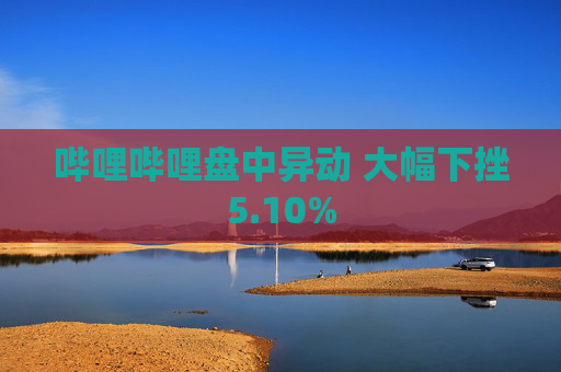 哔哩哔哩盘中异动 大幅下挫5.10%