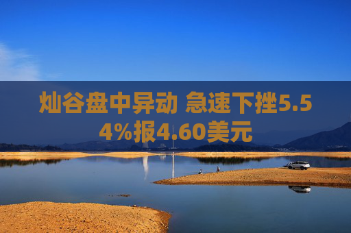 灿谷盘中异动 急速下挫5.54%报4.60美元