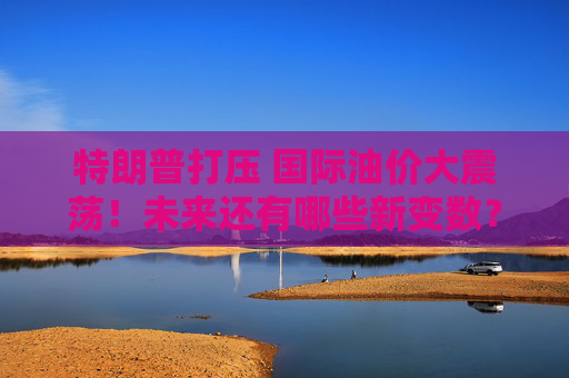 特朗普打压 国际油价大震荡！未来还有哪些新变数？