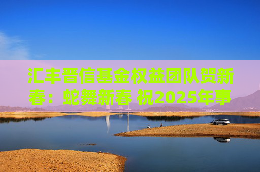汇丰晋信基金权益团队贺新春：蛇舞新春 祝2025年事事如意，生生不息！