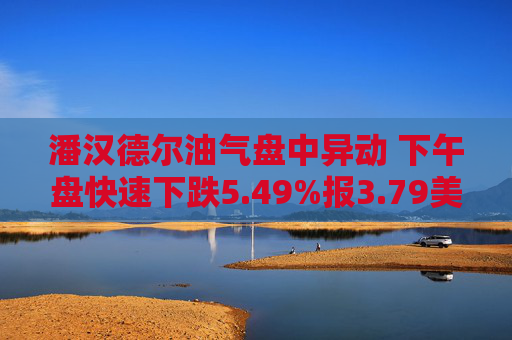潘汉德尔油气盘中异动 下午盘快速下跌5.49%报3.79美元