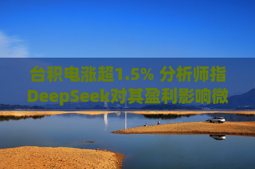 台积电涨超1.5% 分析师指DeepSeek对其盈利影响微乎其微