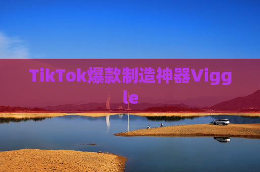 TikTok爆款制造神器Viggle