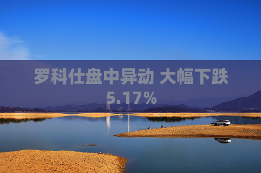 罗科仕盘中异动 大幅下跌5.17%