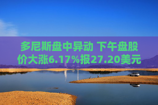 多尼斯盘中异动 下午盘股价大涨6.17%报27.20美元