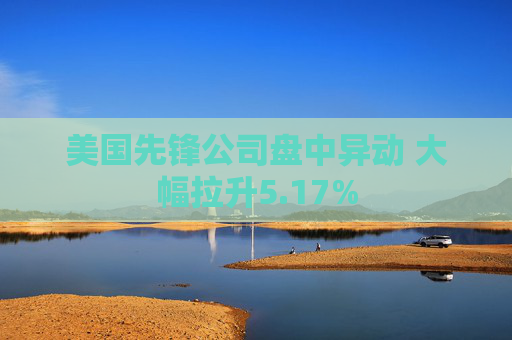 美国先锋公司盘中异动 大幅拉升5.17%