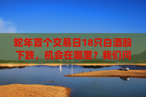 蛇年首个交易日18只白酒股下跌，机会在哪里？我们问了问DeepSeek