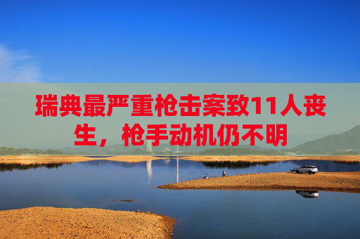 瑞典最严重枪击案致11人丧生，枪手动机仍不明