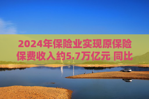 2024年保险业实现原保险保费收入约5.7万亿元 同比增长5.7%