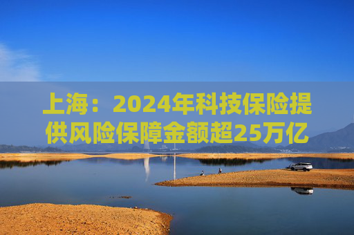 上海：2024年科技保险提供风险保障金额超25万亿元