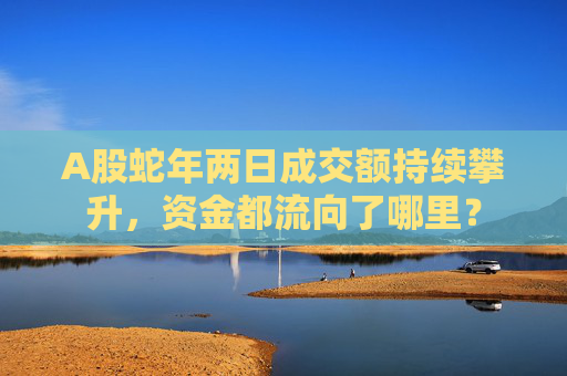A股蛇年两日成交额持续攀升，资金都流向了哪里？