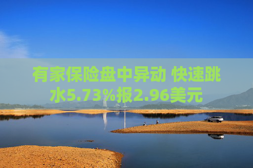 有家保险盘中异动 快速跳水5.73%报2.96美元