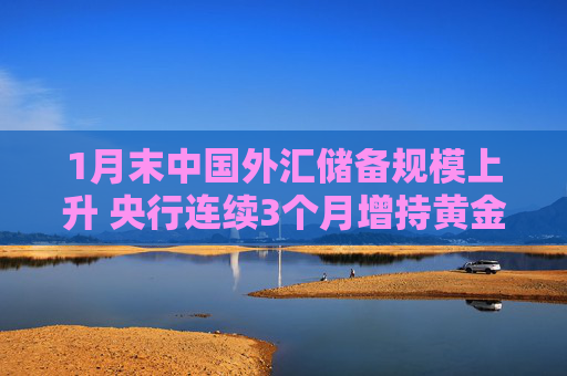 1月末中国外汇储备规模上升 央行连续3个月增持黄金