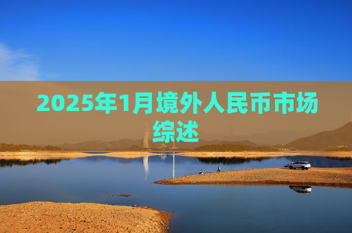 2025年1月境外人民币市场综述