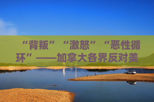 “背叛”“激怒”“恶性循环”——加拿大各界反对美国加征关税
