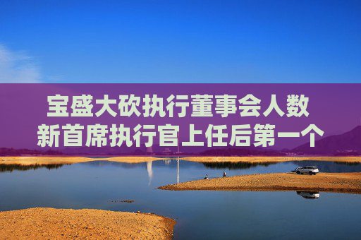 宝盛大砍执行董事会人数 新首席执行官上任后第一个策略举措