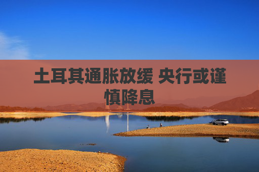 土耳其通胀放缓 央行或谨慎降息