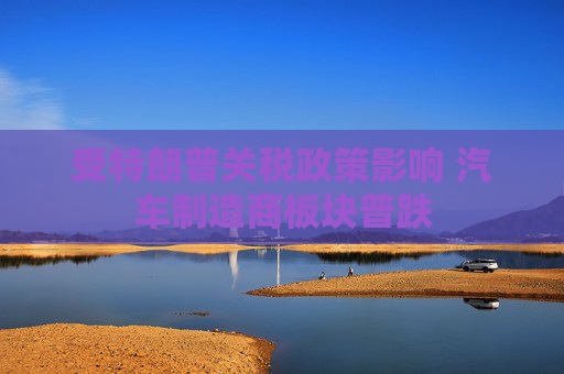 受特朗普关税政策影响 汽车制造商板块普跌
