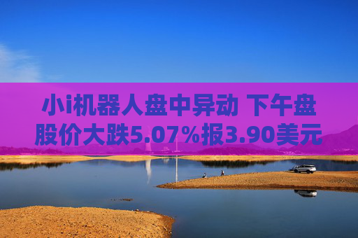 小i机器人盘中异动 下午盘股价大跌5.07%报3.90美元