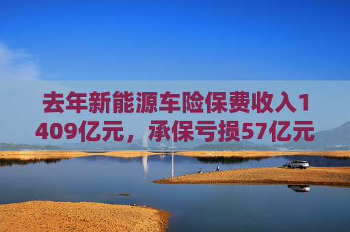 去年新能源车险保费收入1409亿元，承保亏损57亿元 多部门联手寻求解决之道