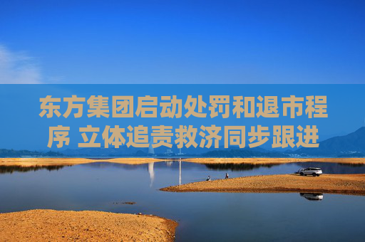 东方集团启动处罚和退市程序 立体追责救济同步跟进
