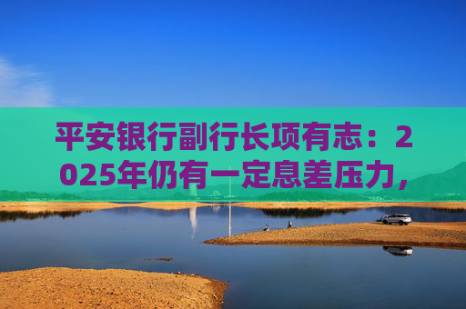平安银行副行长项有志：2025年仍有一定息差压力，但下降趋势可能会放缓