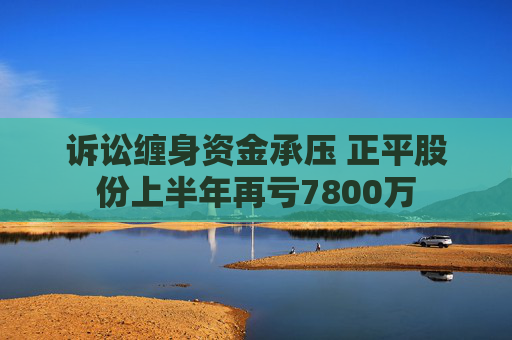 诉讼缠身资金承压 正平股份上半年再亏7800万